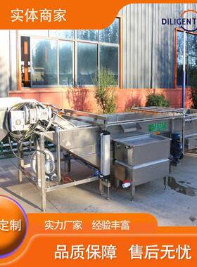 全自动气泡清洗机叶类蔬菜清洗机预制菜设备果蔬清洗机