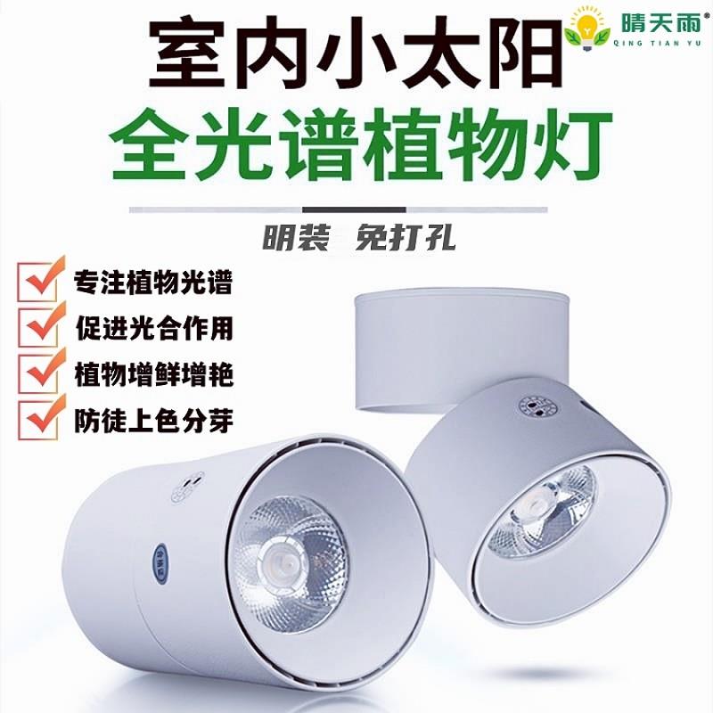 植物补光灯 家用全光谱LED彷太阳光照花卉室内光合作用生长射灯