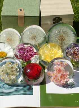 蒲公英标本玫瑰雏菊花康乃馨水晶球树脂摆件滴胶成品永生花镇纸