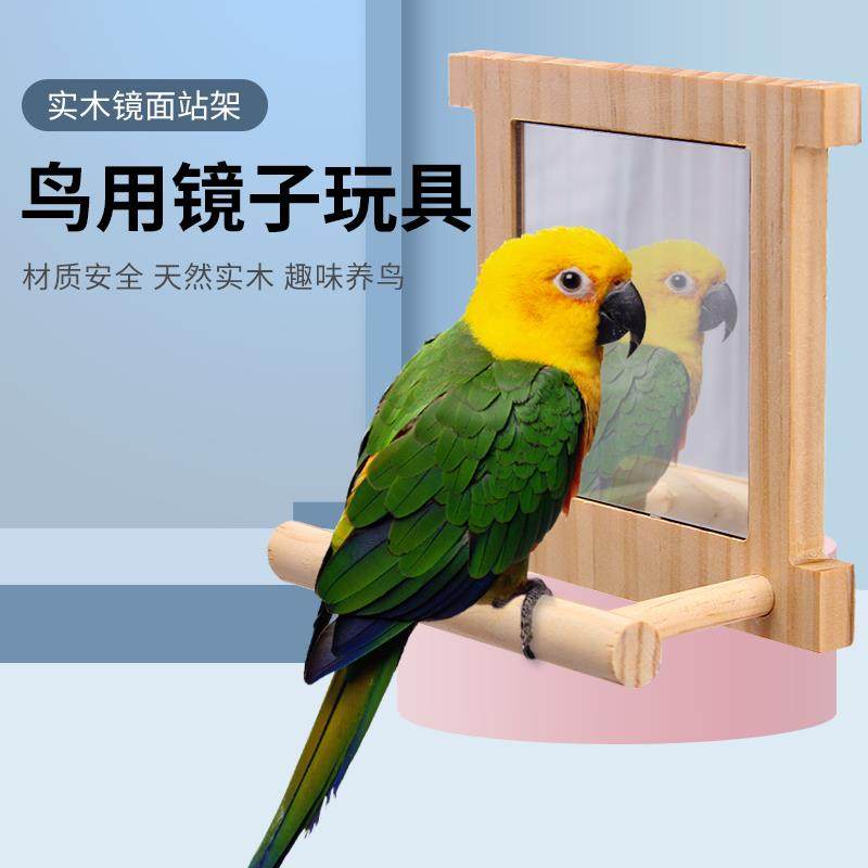 虎皮牡丹玄凤鹦鹉用品花椒木站架镜子啃咬棒小站台鸟笼站架杆玩具,宠物/宠物食品及用品,鸟玩具,淘宝优惠券,粉丝福利购,淘宝优惠卷
