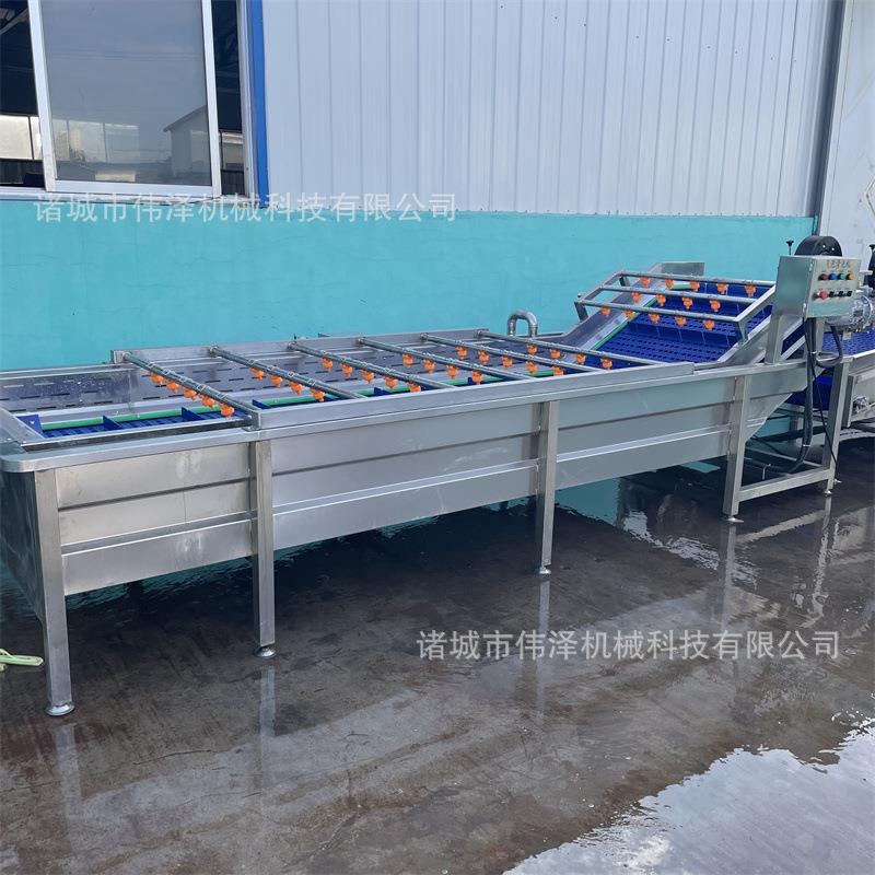 西红柿番茄气泡清洗机 圣女果清洗设备 千禧果洗果机厂家
