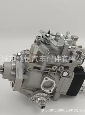 各种型号VE泵22100-5C480196000-2081