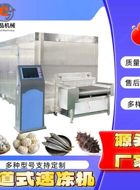 肉类速冻机商用海鲜超低温速冻机设备厂家大型急速冷冻单冻机