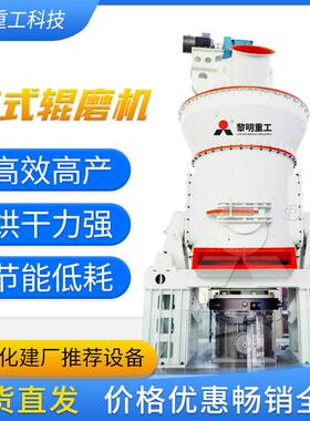 锅炉煤粉细度R90 时产50吨磨煤喷粉机 黎明重工LM34-3M立磨
