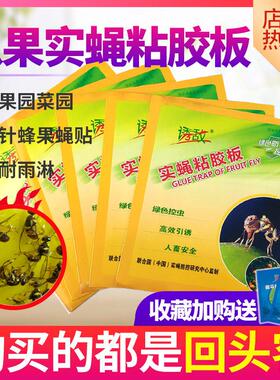 诱敌实蝇黏胶板果蝇诱捕贴信息素粘虫板果园农用双面黄板针蜂包邮