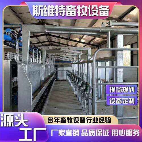 斯维特并列式电子计量挤奶厅牛羊骆驼挤奶设备养殖场用多种规格