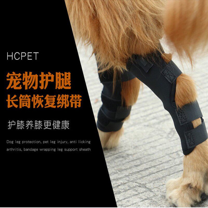 狗狗护膝宠物护腿套护肘腿套防舔套护脚魔术绑带跨境热销防舔设计