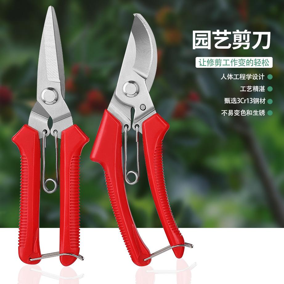 园艺修枝剪刀不锈钢粗枝果树枝剪