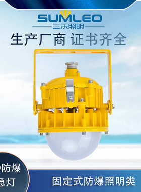 防爆平台灯SLD8768 30/40/50W吸顶灯弯杆壁式LED应急防爆灯