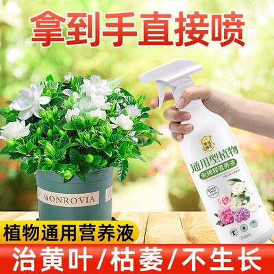 新疆包邮室内盆栽植物营养液免稀释通用型叶面肥喷施花卉绿植花草