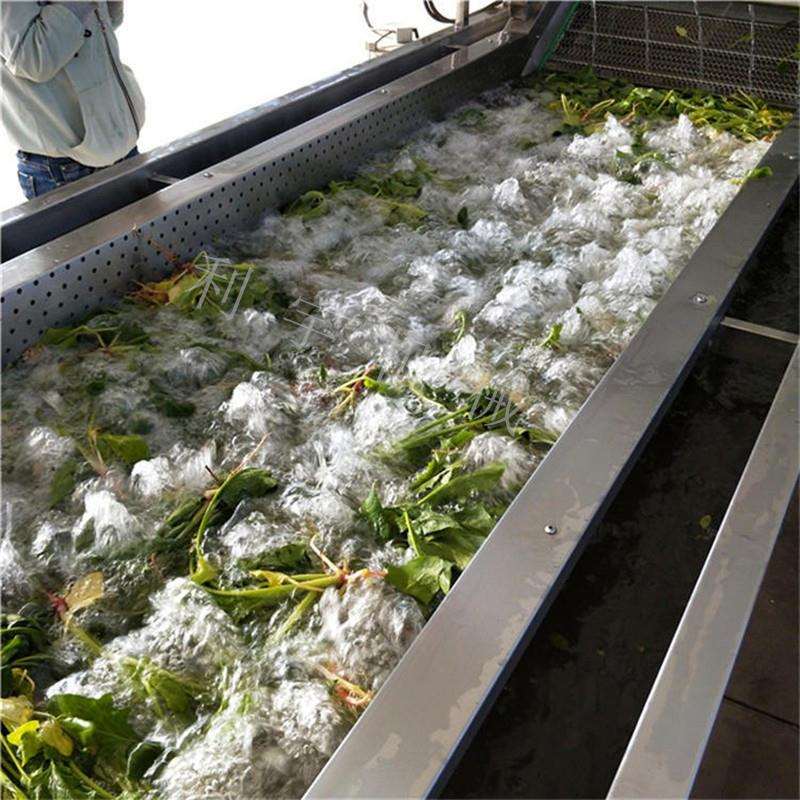厂家直销多功能气泡清洗机水果蔬菜清洗机价格优惠质量保证
