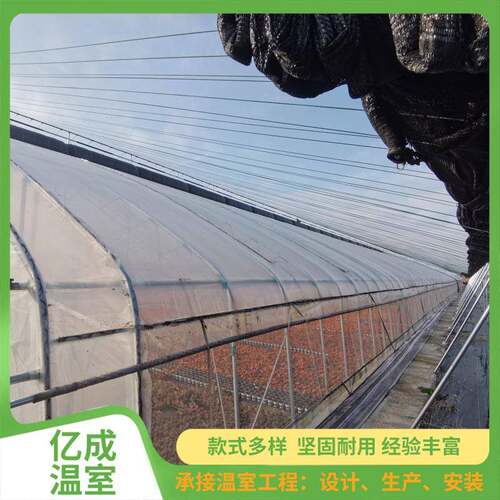 双拱薄膜暖阳温室大棚厂家农业种植蔬菜水果双拱温室大棚双拱棚