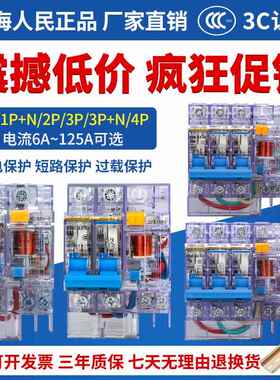 上海人民DZ47LE-63A小型透明漏电开关断路器2p3p220380漏电保护器