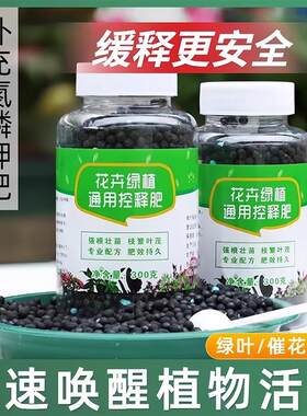 Slow-release fertilizer for green plants and flowers, suitab