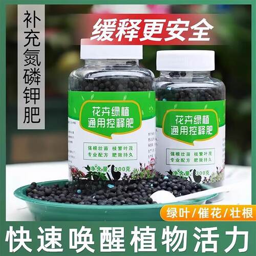 Slow-release fertilizer for green plants and flowers, suitab