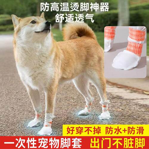 宠物一次性脚套小狗中大型犬一次性外出脚套防脏防水舒适轻薄AR