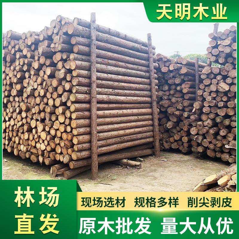 4米杉木桩打桩木原木防汛木桩 园林绿化支撑杆 3米杉木杆厂家直销