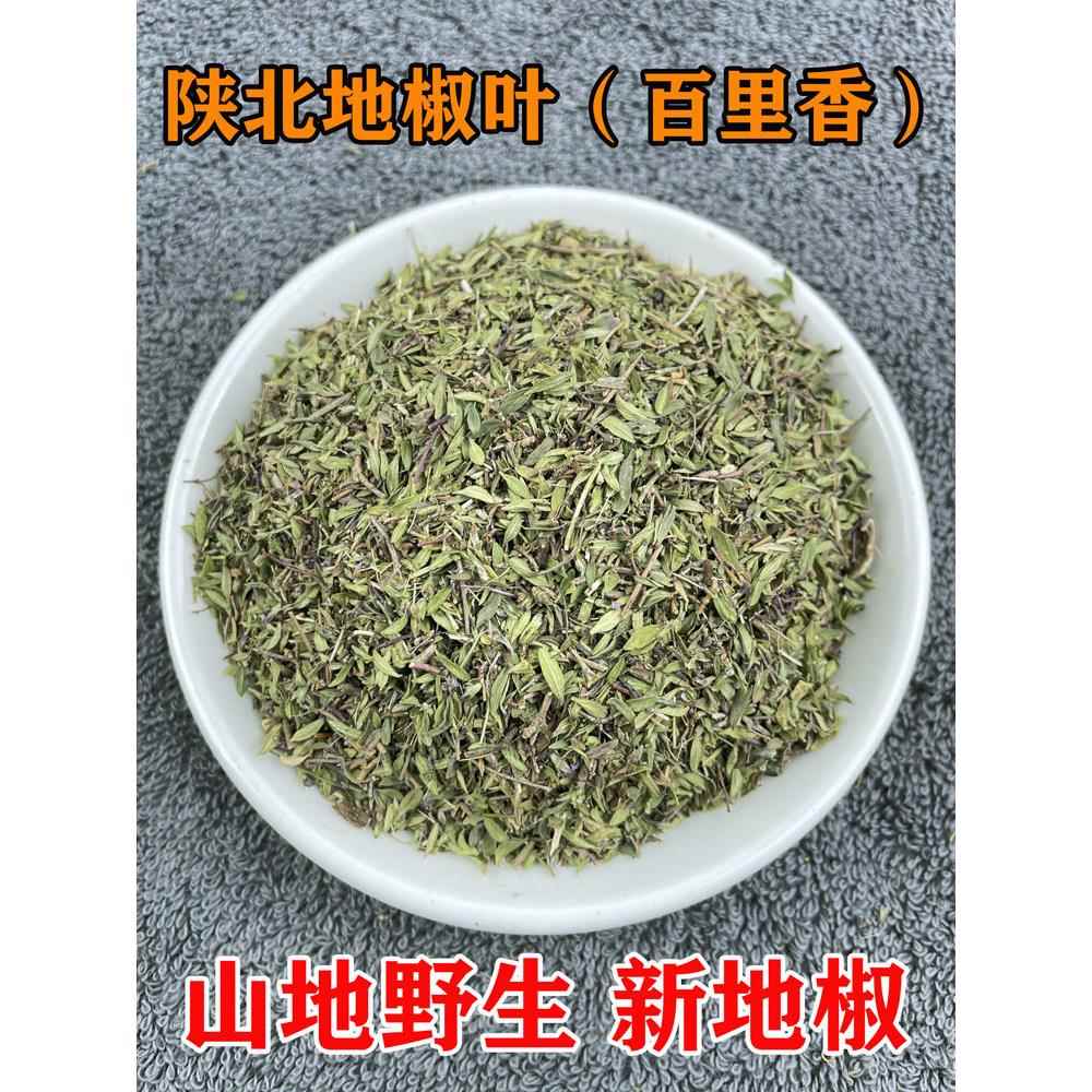 陕北地椒叶百里香500g炖羊肉去膻增香地花椒百里香山椒山胡椒调料