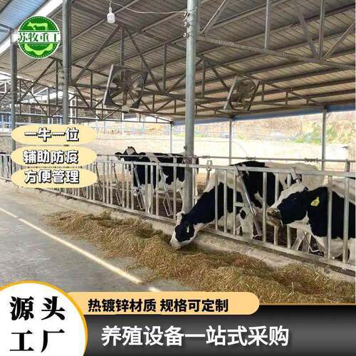 加厚自锁式牛颈枷热镀锌牛限位栏新型辅助防疫牛颈夹定制