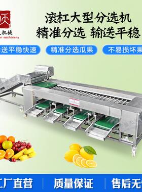 圣天厂家直供水果分选机土豆分级机选果机滚杠分离设备李子筛选机