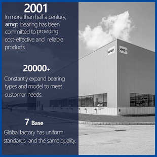 6021 6020 6022 6024 AMGT进口高性能深沟球轴承6018 6019