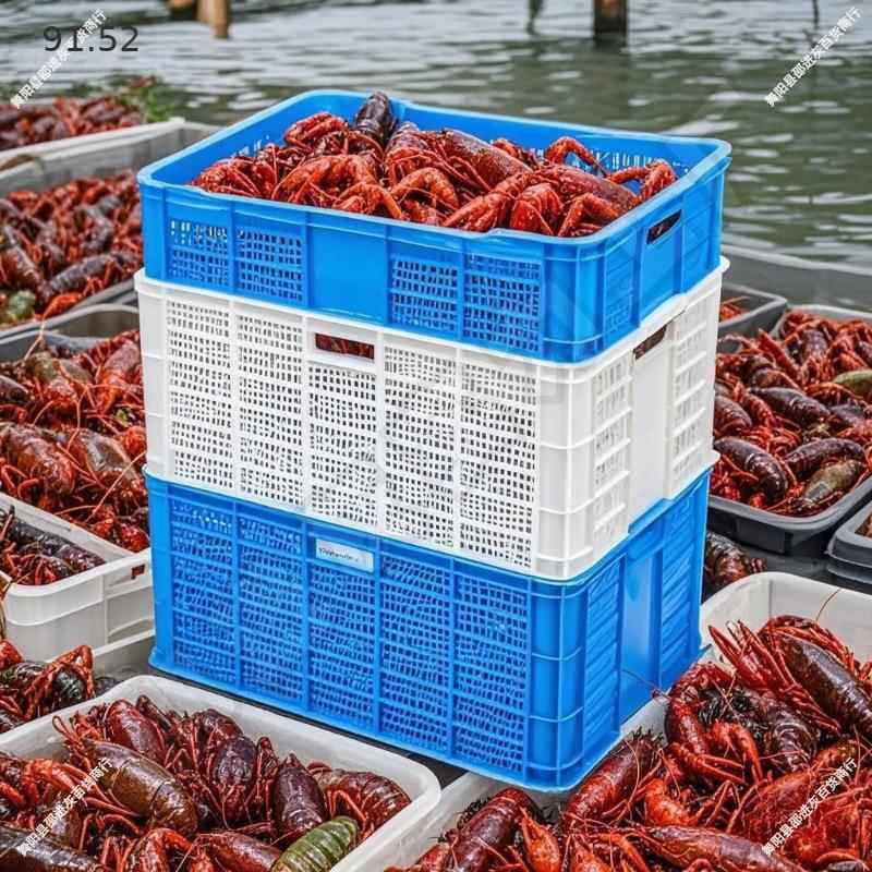 镂空龙虾塑虾活26546虾运苗输筐料周转筐方形蔬菜水果筐子邵进灰