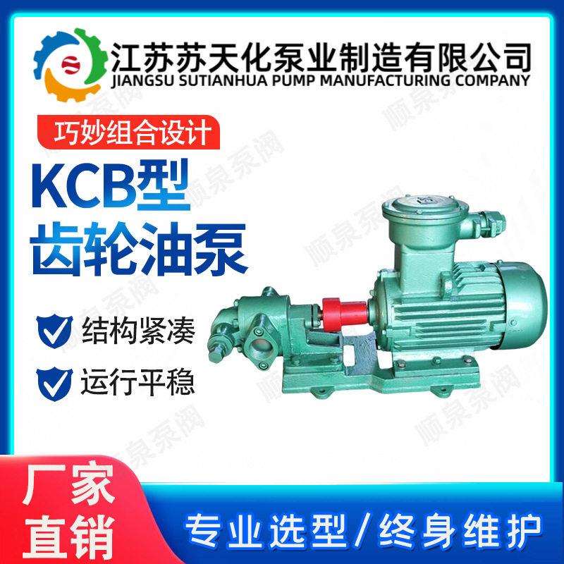 船用卧式齿轮油泵KCB33.3系列卫生级输送泵粘度润滑泵