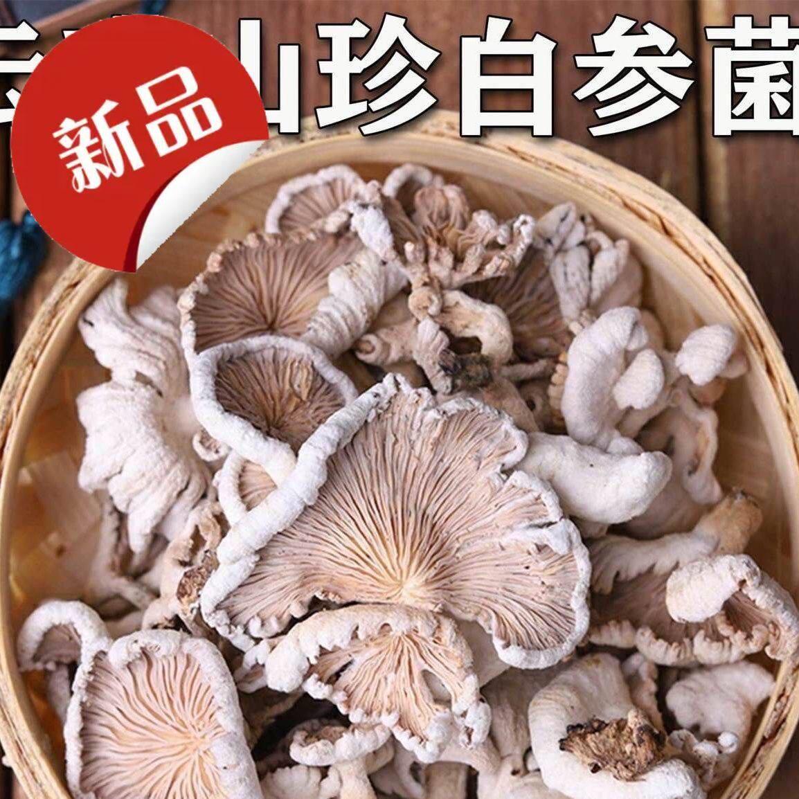 白参菌干货云南农家特产克裂褶菌白花白参沙参树花干净雪莲菌