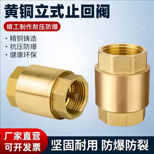 全铜立式止回阀4分6分1寸内丝水管道水表热水器止逆阀逆止阀DN15