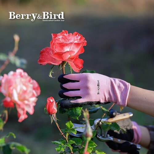 Berry&Bird园艺防护防刺手套种花种菜花艺养花栽花拔草英国bb工具