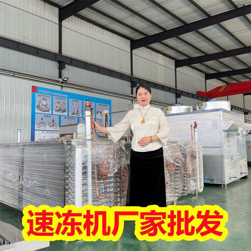 商用冻隧道设备 糕点生产流水线 麻团速冻设备 速冻机厂家