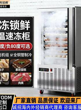 -45度低温速冻柜商用生胚饺子包子风冷速冻机