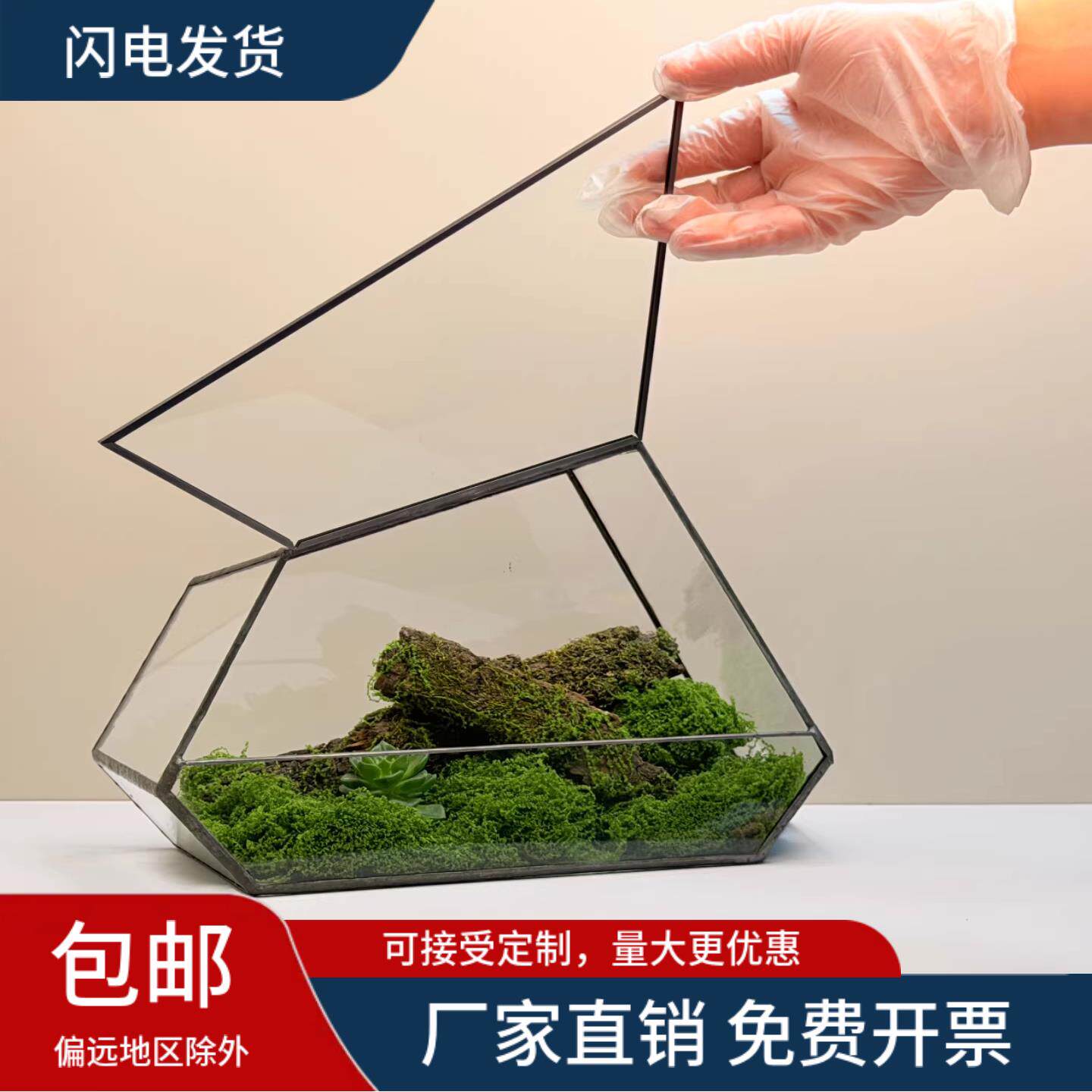 几何玻璃花房苔藓微景观玻璃生态盆闷养桌面造景水陆盒爬宠生态缸