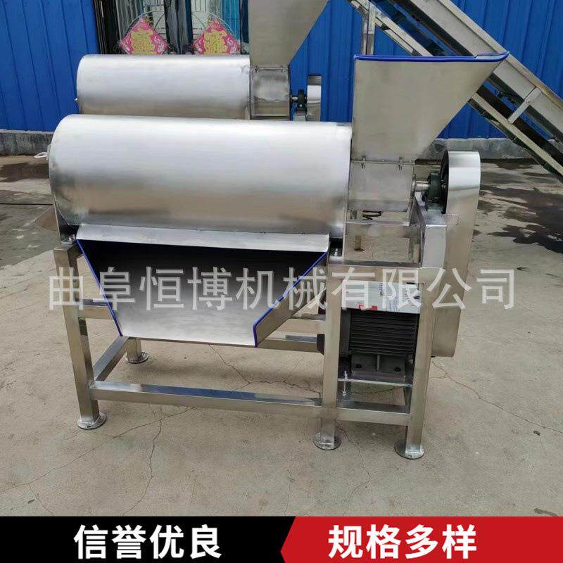 芒果蓝莓去核打浆机 番茄沙棘果百香果大型打浆机 工业红枣打泥机