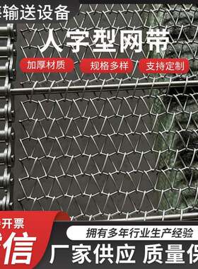 04不锈钢锯齿形眼睛网带大枣震动筛链片网带狗粮蒸汽烘干网链