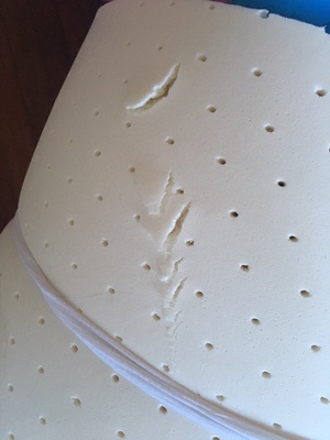 dayjoy泰国乳胶床垫怎么样，看我真实选购经历史