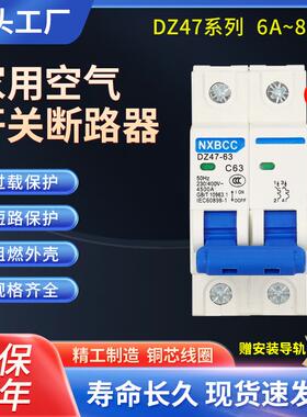 空气开关100A小型断路器DZ47-63A空开家用保护器1P2P3P4P125A正品