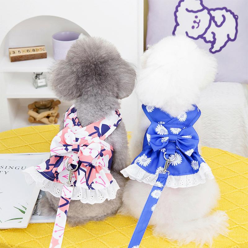 新款春夏装狗狗衣服可挂牵引绳泰迪比熊中小型犬气质牵引裙