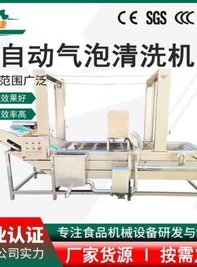 大姜压喷淋清洗机水果清洗设备蔬菜清洗机柑橘压气泡清洗设备