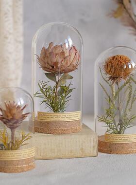 覆古植物标本摆件向日葵玻璃罩微景观创意生日礼物书架装饰送老师