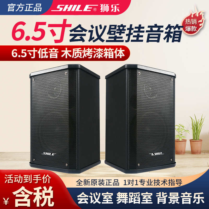 狮乐 BX-101 室内高保真HIFI音箱家庭影院背景音乐壁挂式会议音响