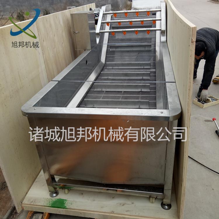 果蔬鼓泡翻浪清洗设备 全自动涡流气泡清洗机 喷淋式西红柿洗菜机