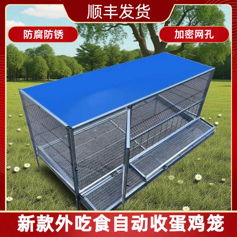 鸡笼子家用室外铁丝网大号防雨防黄鼠狼下蛋鸡笼自动滚蛋笼养殖笼