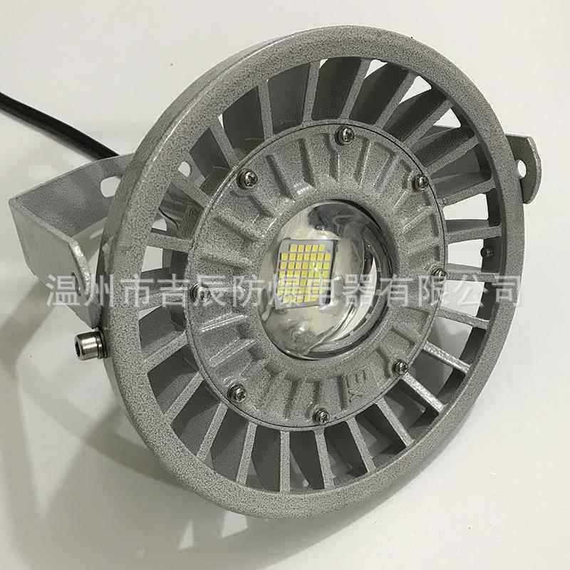 防爆灯防潮防爆型投光灯工程灯防爆防油LED灯20W30W免维护节能灯