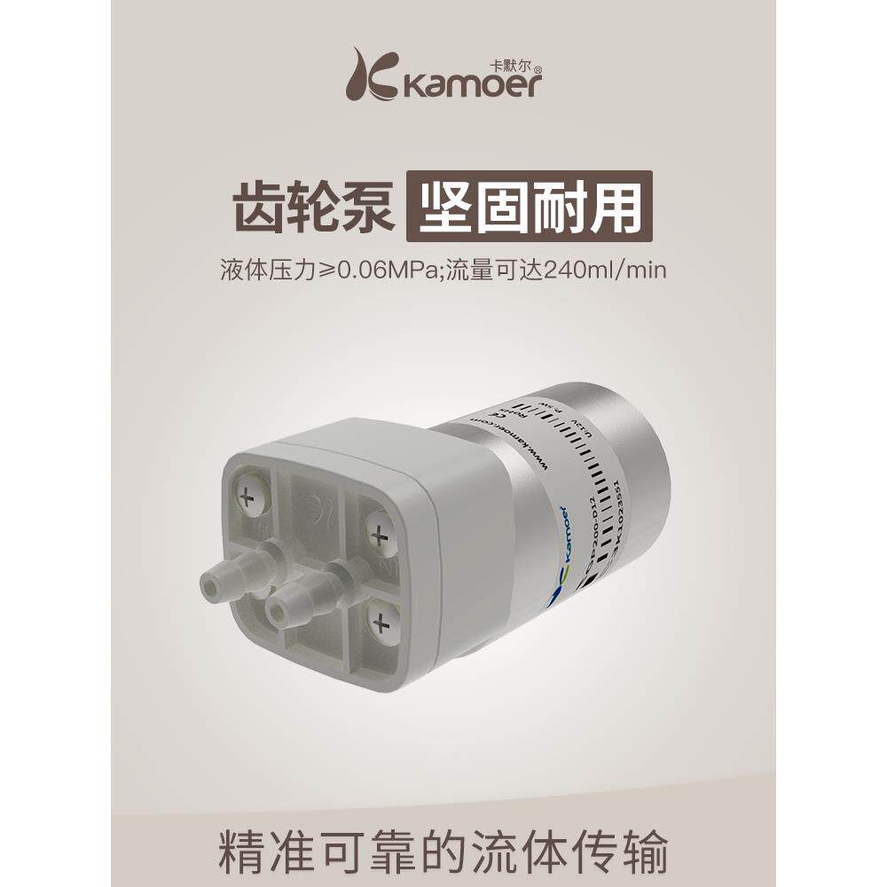 微型齿轮泵 12V直流塑料迷你电动小型抽水泵高压水泵循环泵