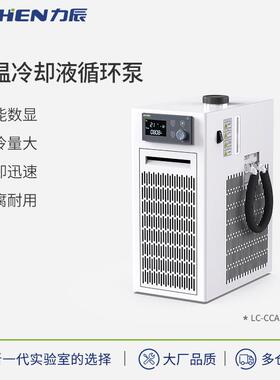 力辰科技低温冷却液循环泵LC-CCA-420恒温低温循环机恒温冷却泵