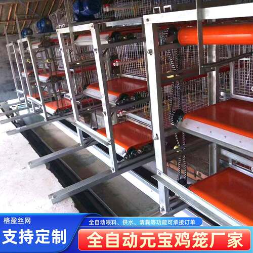 立式元肉鸡笼镀锌蛋鸡笼可自动化养殖设备鸡场鸡舍用框架式鸡笼