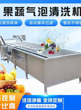 推荐蓝莓圣女果多功能气泡清洗机叶类蔬菜气泡翻滚清洗设备