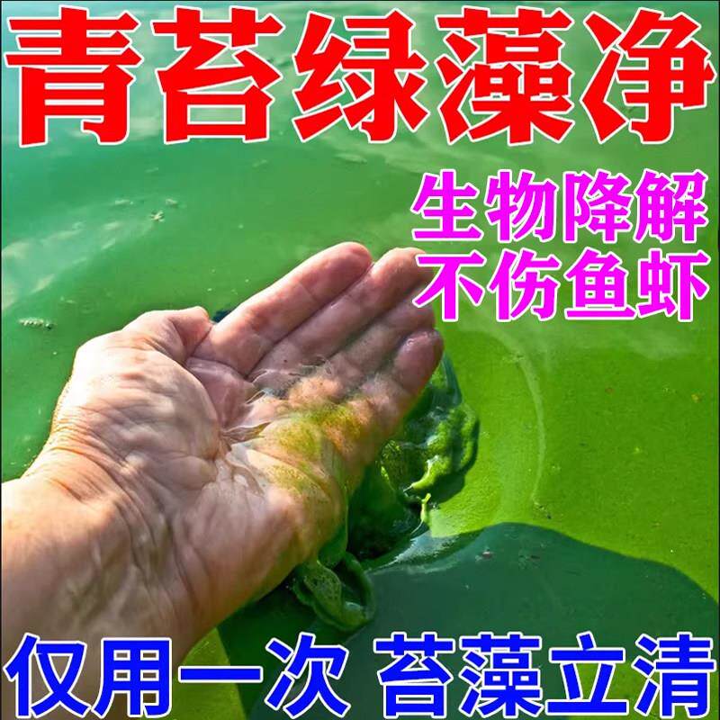 鱼池除藻剂泳池鱼缸去苔剂戊二醛净水剂鱼塘除蓝绿藻青苔清除剂
