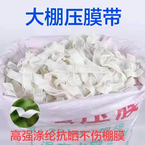 温室大棚压膜带 高强度压膜线白涤纶压膜绳 大棚蔬菜专用压膜带